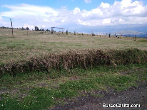 SE VENDE TERRENO EN TABACUNDO CANTON PEDRO MONCAYO