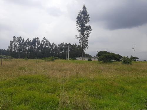 TERRENO comercial y plano en venta, Cashapamba, área 733,24m2, frente 26,75 metros 