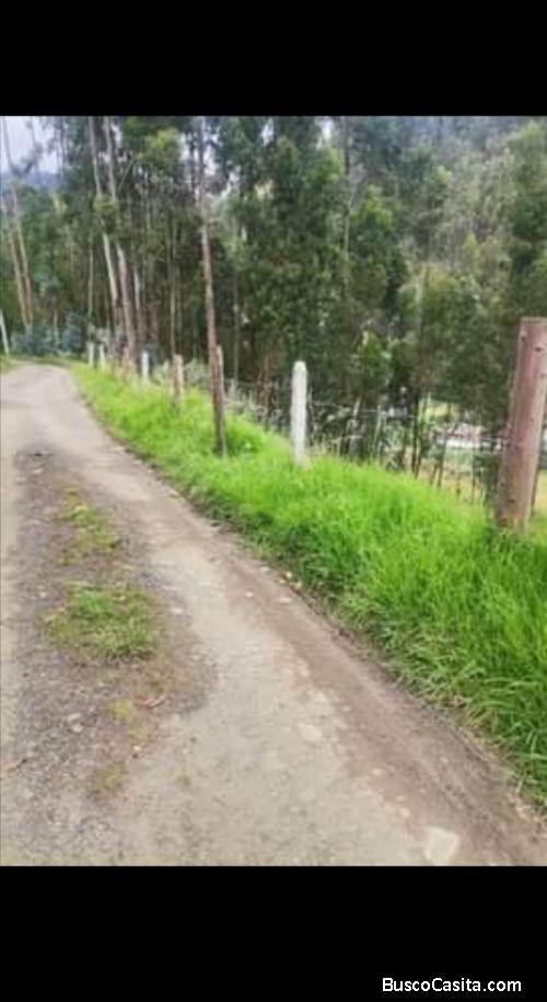 Terreno en venta sector Baños 557m cuadrados