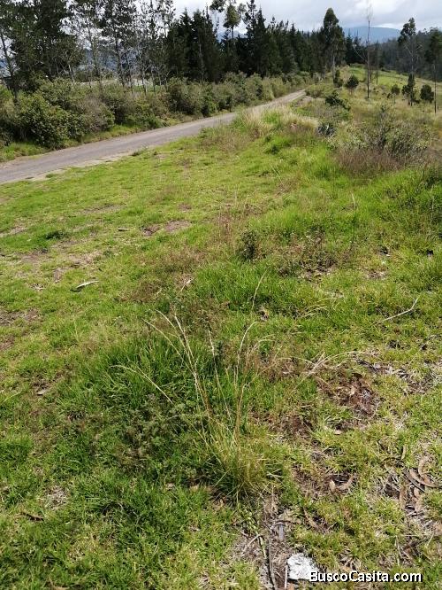 VENDO TERRENO LOTES DE 2000M2 CLIMA CÁLIDO TABACUNDO CHIMBURLO BAJO