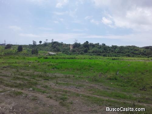 Venta de terrenos en vía principal, TACHINA-ESMERALDAS