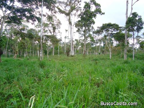 HERMOSA FINCA DE VENTA