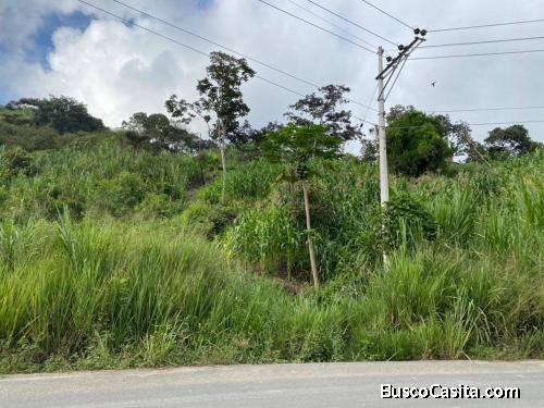 Venta Terreno en Pacto