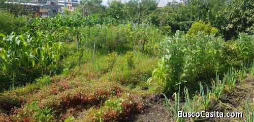 VENTA DE TERRENO BARRIO SAN MARCELO LA ECUATORIANA