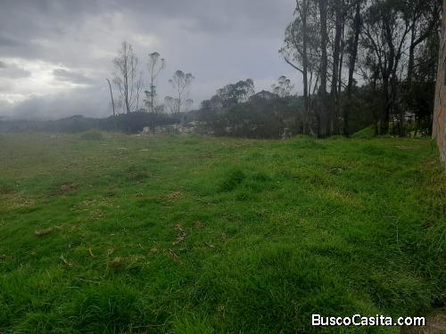 TERRENO ESQUINERO