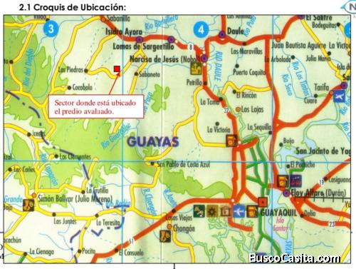 Vendo terreno de 60 hectáreas en el sector Isidro Ayora - Las Mercedes