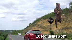 ES TU OPORTUNIDAD DE COMPRAR UNA HECTAREA DE TERRENO UBICADO EN LA AUTOPISTA ,GUAYAQUIL-SANTA ELENA