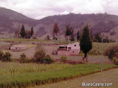 VENDO FINCA EN (RIOBAMBAPARROQUIA DE LICTO)ECUADOR 2646 m2 ,