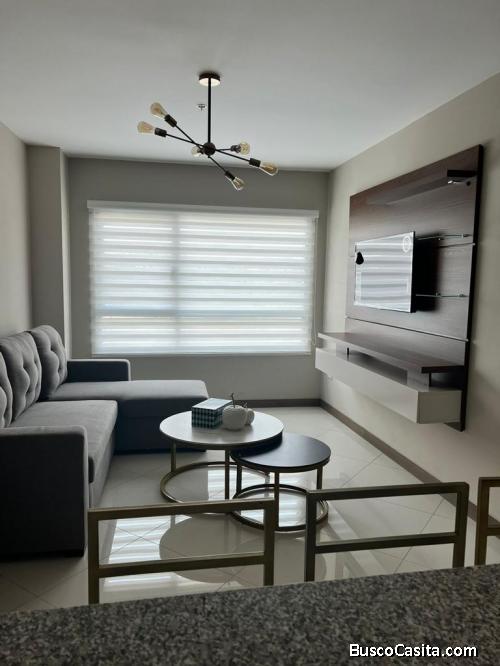 Alquilo moderna y elegante suite en Ciudad Colon con garage