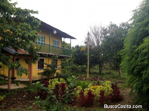 Excelente finca de 37.1 ha Palma Africana en San Lorenzo