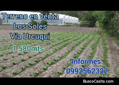 TERRENO VIA URCUQUÍ IBARRA