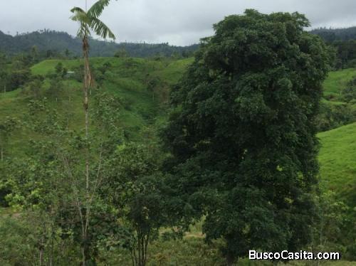 Lote de 93 hectareas en Nanegalito
