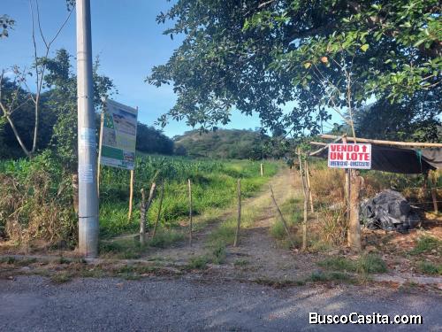 Vendo Lotes Planos en Vilcabamba 
