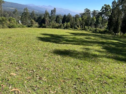 TERRENO COMERCIAL, semi plano, con 200 metros de frente a la E-35, área 31783m2