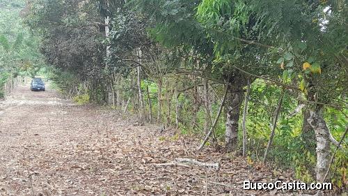 Urgencia Vendo lindo terreno de 6000 m2 en Sua