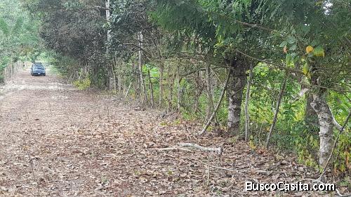 Vendo hermosa finca en Sua