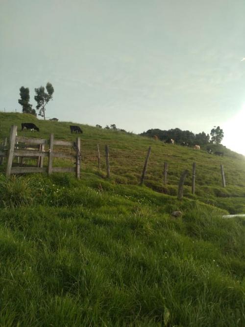 En venta terreno de 8 Hectáreas, en Rumipamba, apto para agricultura, ganaderia o turismo