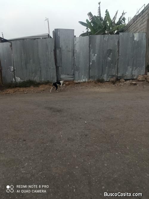 Se vende Terreno en trinidad de dios