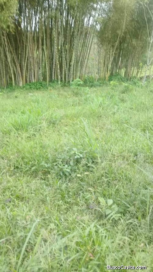 Venta de terrenos En la Cooperativa Chila Guabal