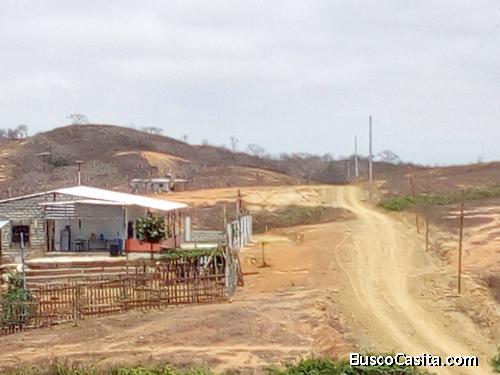 Terreno de 375m2 a 7 minutos del mar de Playas de Villamil (Crédito directo)