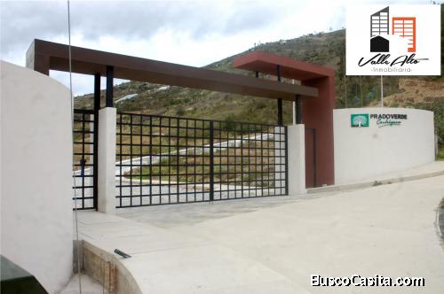 LOTES AMPLIOS URBANIZADOS EN PAUTE.
