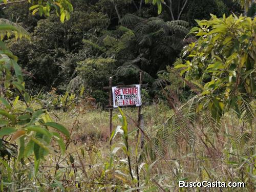Venta de terreno en Puyo con excelente ubicacion