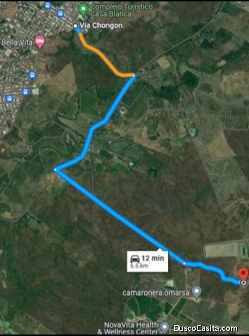 Terrenos Chongon 440m2 $8000 