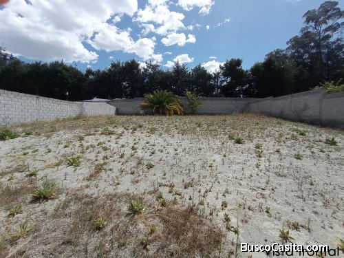 Terreno de venta Pusuqui detras de Grunenthal, con cerramiento de 600m2 de superficie, excelente zon