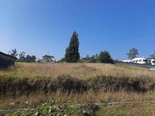 Terreno en venta, Macarena, 1000m2, topografia semi plana