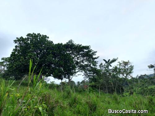 VENDO FINCA CON RÍO