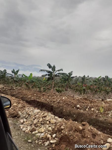 Vendo finca , 13 y m3dia hectáreas,  