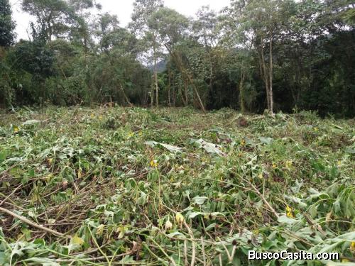 TERRENO  EXCELENTE  UBICACIÓN