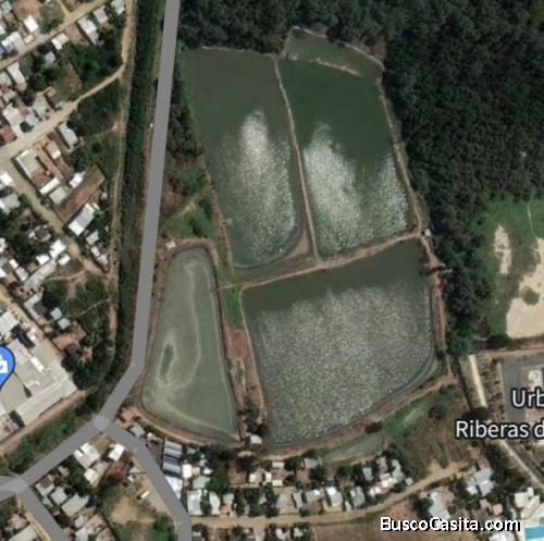 Camaronera en Bahía de Caráquez