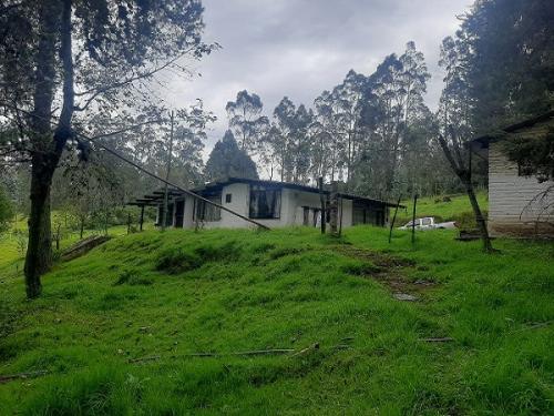 Venta de Quinta en Amaguaña, 5 Hect, casa, luz y agua potable
