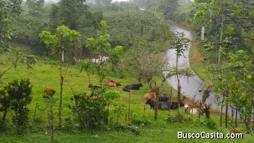 HERMOSA QUINTA DE 3 HECTAREAS 