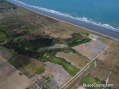 ADQUIERE DOS HECTÁREAS DE TERRENO EN LA PLAYA PARA TENER UNA GANANCIA DE 3 MILLONES DE DOLARES.