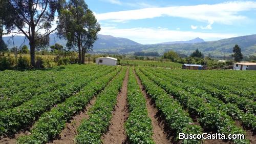 Por viaje se vende terreno de 5450 m2