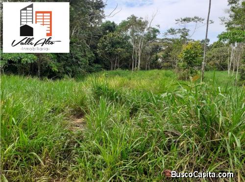 FINCA GANADERA AMPLIA EN SAN JOSE DE MORONA.