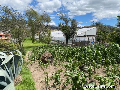 SE VENDE ESTE TERRENO 