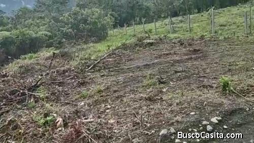 Lotes desde 500M² dentro de Complejo Exclusivo en Río Negro
