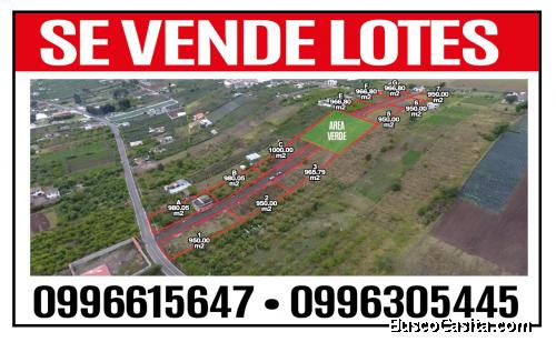 Ventas de hermosos LOTES, en Ambato para que puedas disfrutar de la naturaleza y tranquilidad
