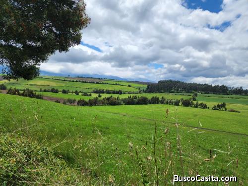 Hacienda productiva en venta 