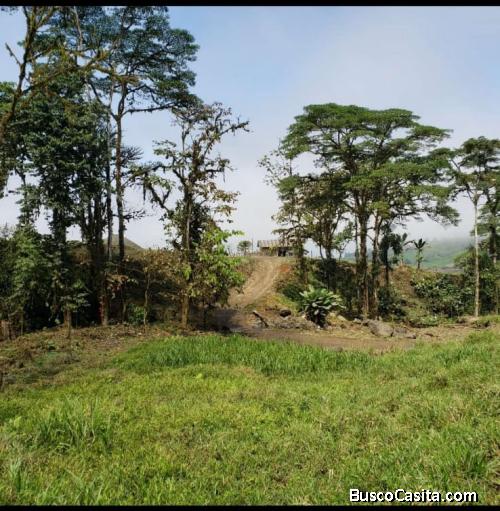 FINCA 250 HECTAREAS EN BUCAY