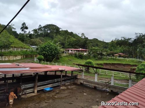FINCA 274 HECTAREAS EN EL CARMEN