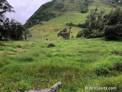 Terreno en venta en Chunchi