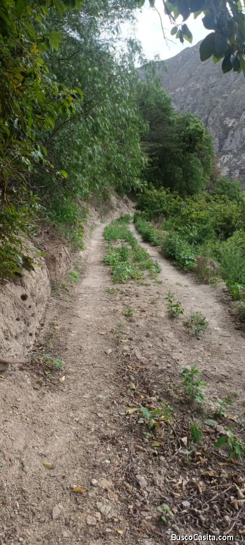 TERRENO DE OPORTUNIDAD 