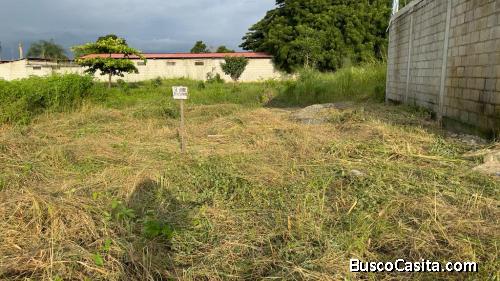 SE VENDE TERRENO EN ARENILLAS, EL ORO, ECUADOR