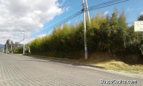 Lote de arriendo en Puembo