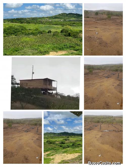 Finca de 10000m2