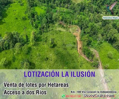 Merci Rivera Terrenos en Venta Por hectáreas  con Carretera Puente y hermoso rio en La viaPrincipal